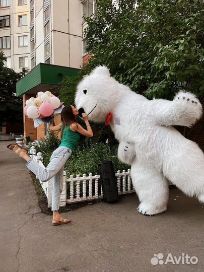Большой танцующий белый мишка Умка поздравление