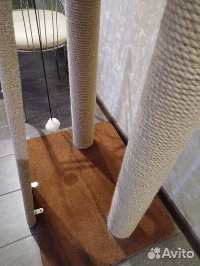 Когтеточка большая новая