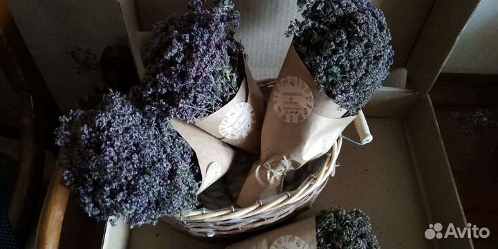 Растения Травы дикоросы