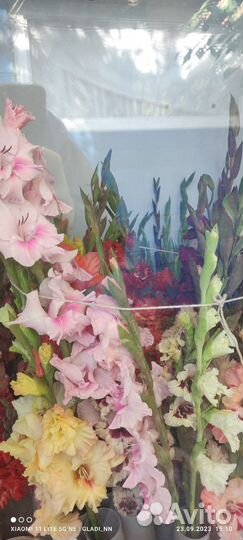 Живые цветы букет