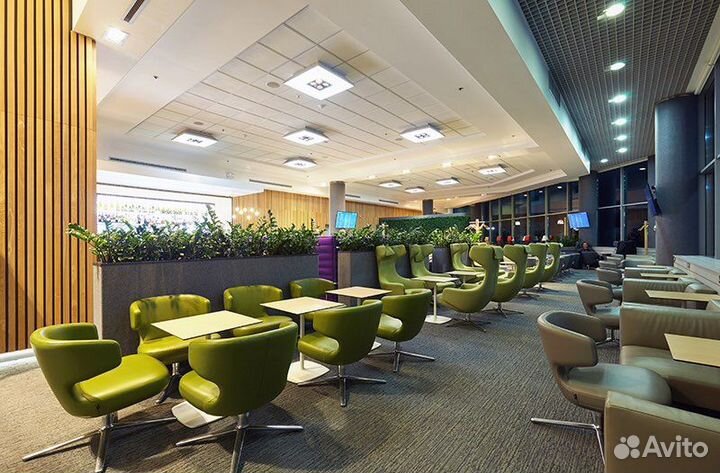 Проход в бизнес зал аэропорта