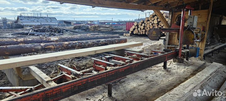 Ленточная пилорама wood mizer