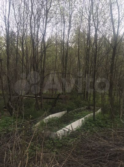 Участок 8 сот. (СНТ, ДНП)