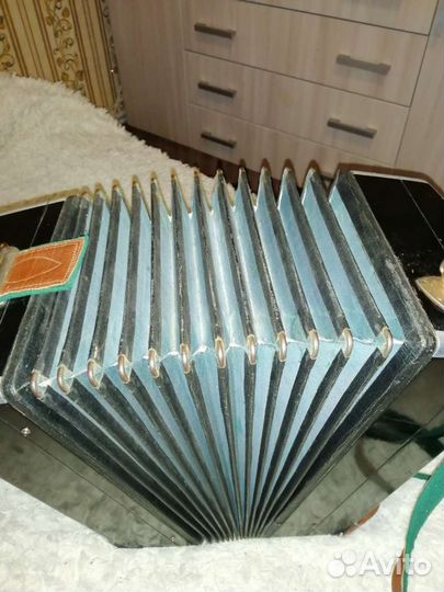 Баян тульский