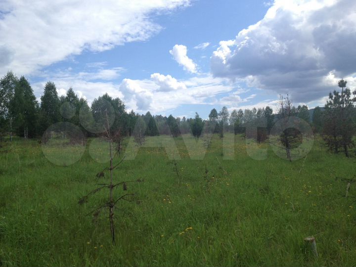 Участок 12,6 га (СНТ, ДНП)