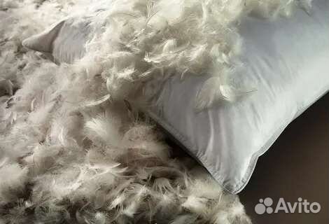 Прием пуха пера