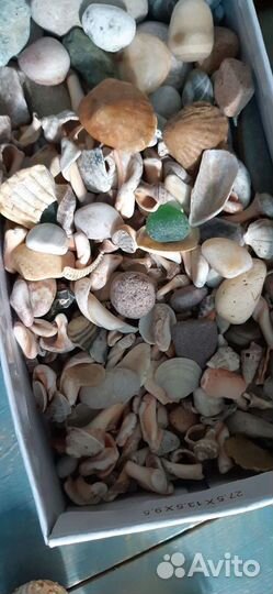 Ракушки и камешки для аквариума