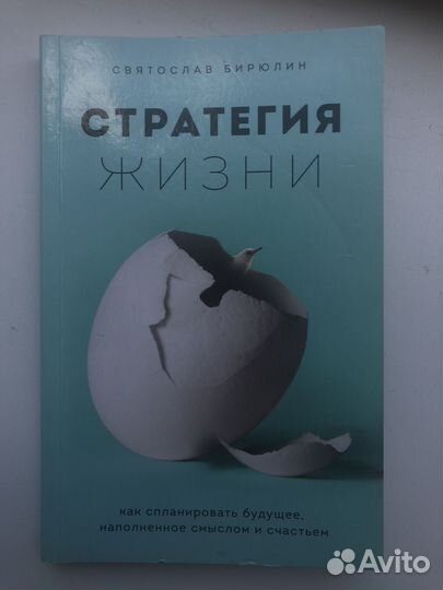 Книга Сятослава Бирюлина 