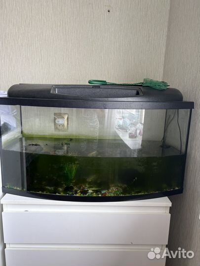 Аквариум