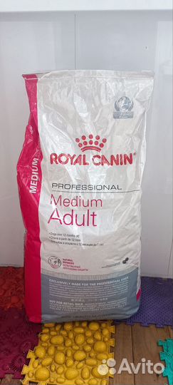 Корм для собак