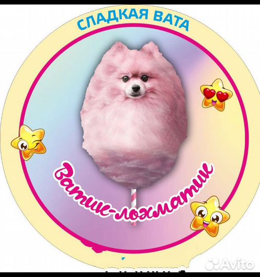 Сладкая вата на праздник Саранск