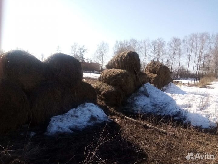 Продаётся сено