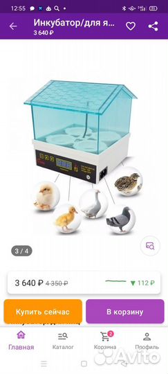 Инкубатор для яиц