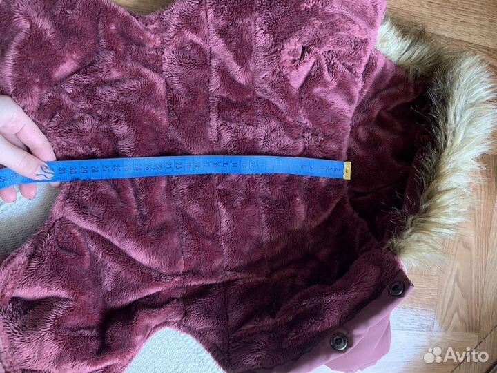 Товары для животных