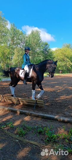 Конные тренировки