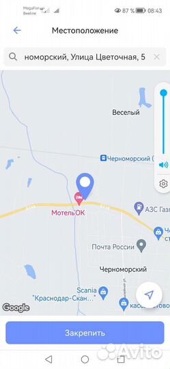 Инкубационное яйцо