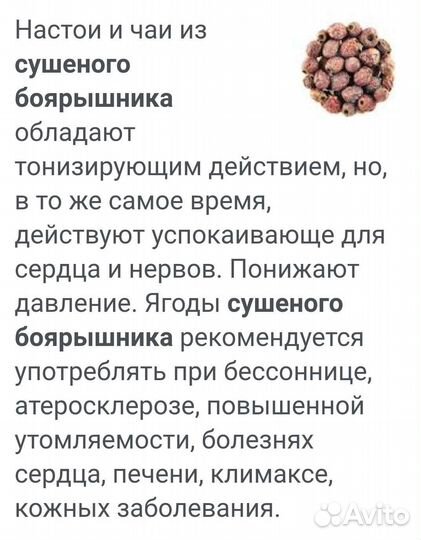 Шиповник Боярышник