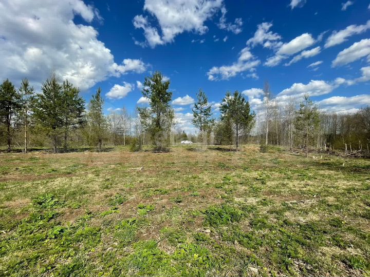 Участок 14,8 сот. (личное подсобное хозяйство (лпх))