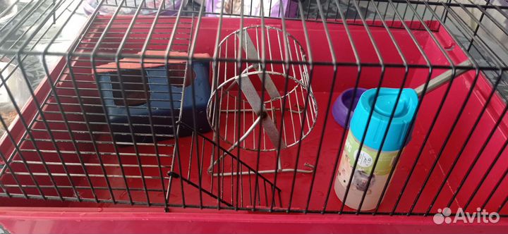 Клетка для грызунов бу