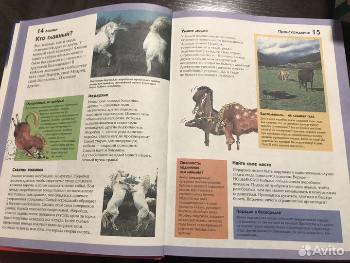 Энциклопедия лошади