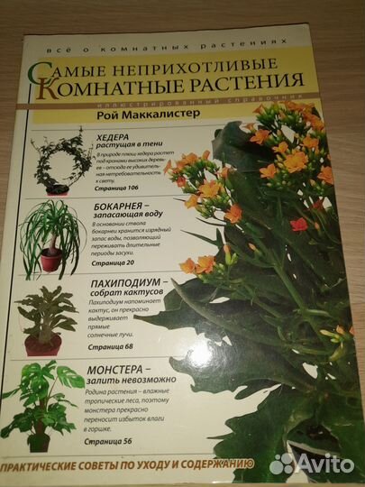 Хобби и отдых