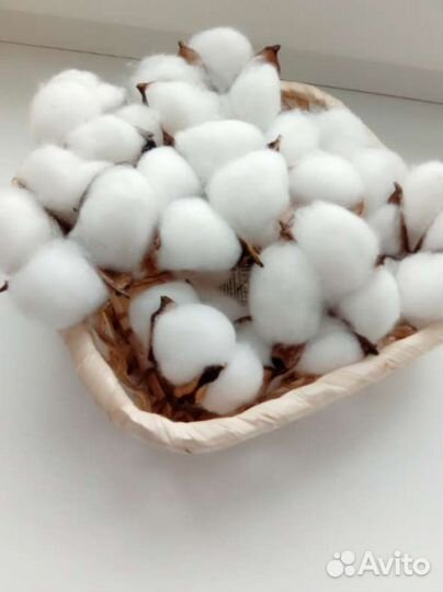 Канителька для вышивки и коробочки хлопка