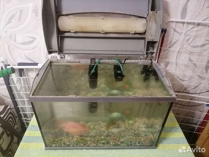 Аквариум и рыбки