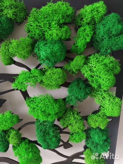 Картина/панно из живого мха