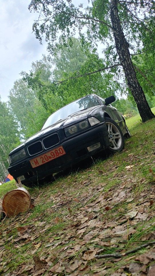 BMW 3 серия: фото владельца