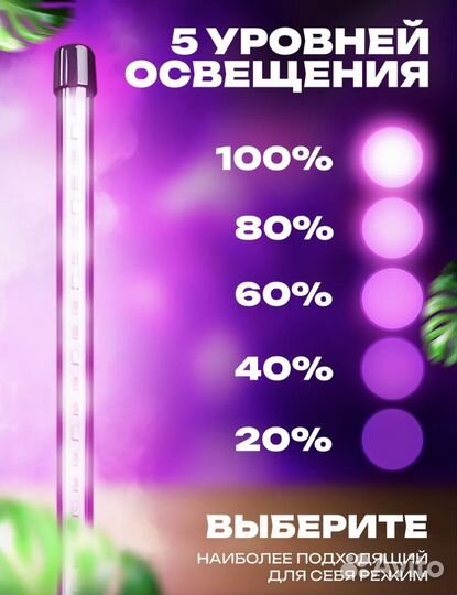 Фито лампа для растений