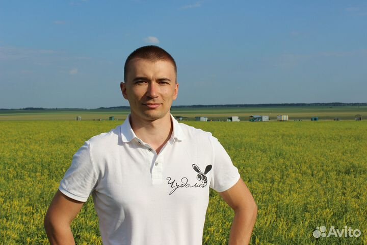 Мёд оптом - своя пасека, от 1 кг. Магнитогорск