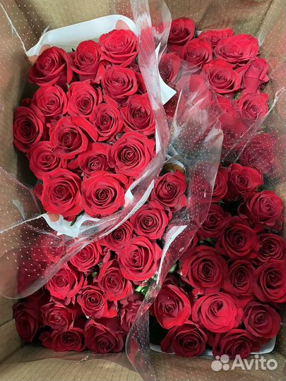Розы без посредников букеты из роз 15 - 101 роза