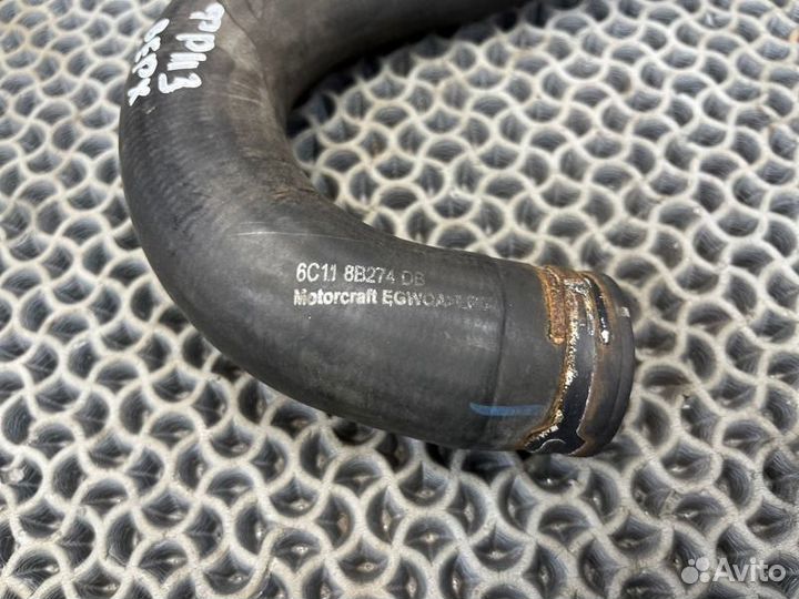 Патрубок радиатора Ford Transit TT9 2.4L duratorq