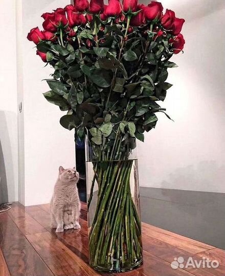 101 Роза Цветы Букеты 51 25 Роз Доставка