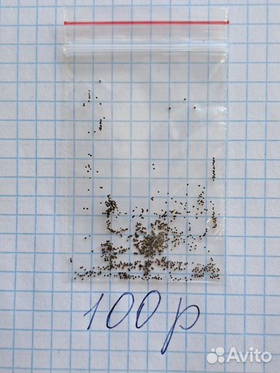 Эустома семена