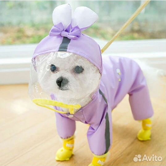 Дождевик для собаки