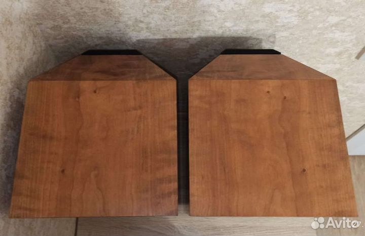 Avalon Monitor (Made in USA)