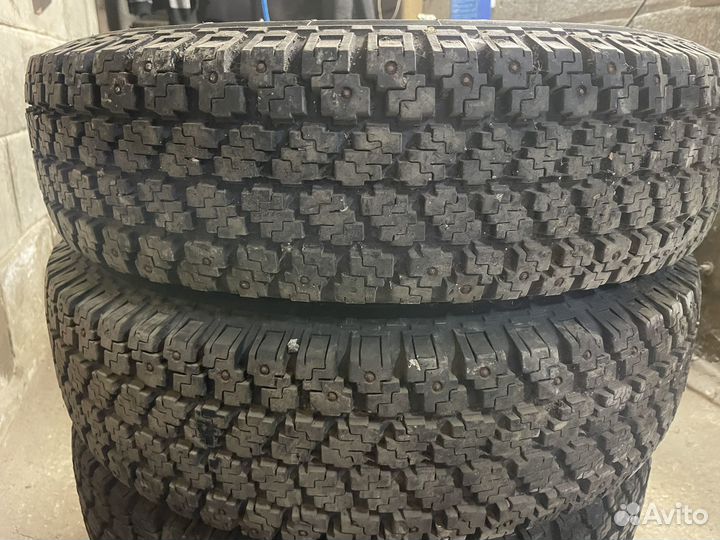 Nokian hakkapeliitta