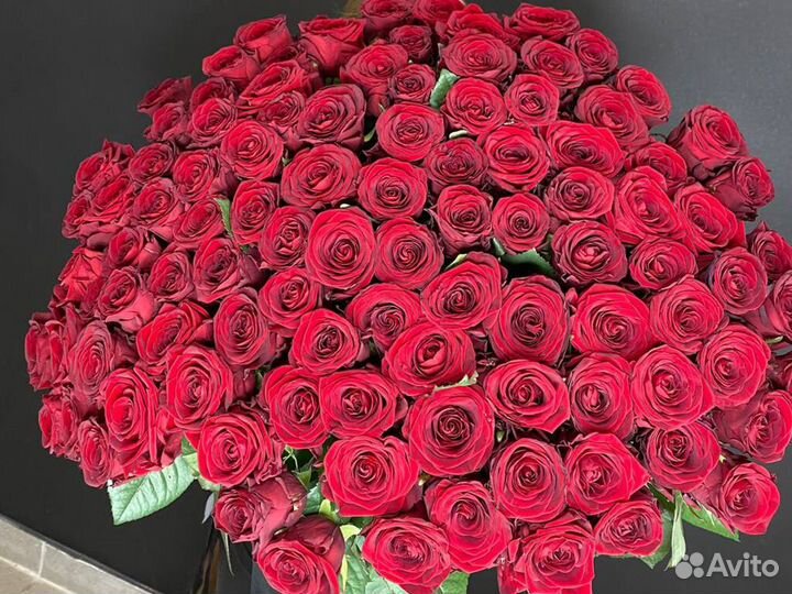 101 Роза Красные розы букет роз Цветы