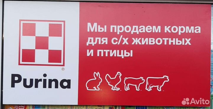 Комбикорм пурина