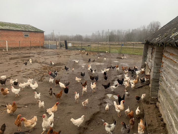 Участок 58 га (СНТ, ДНП)