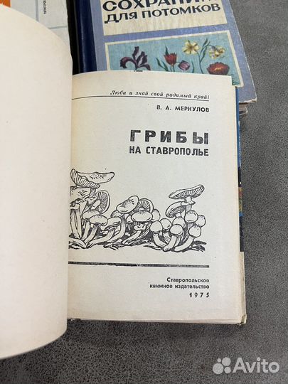 Путеводитель по кмв, Грибы на Ставрополье, лот