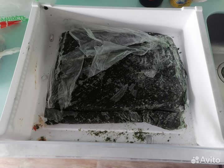 Корм для аквариумных рыбок