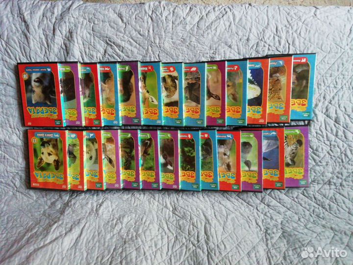 DVD о животных Твои весёлые друзья зверята