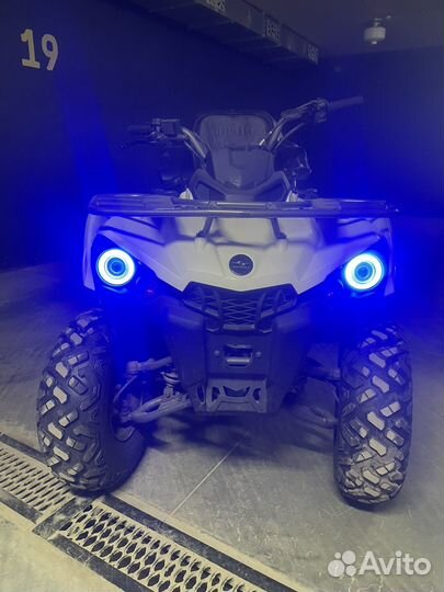 Sharmax 300