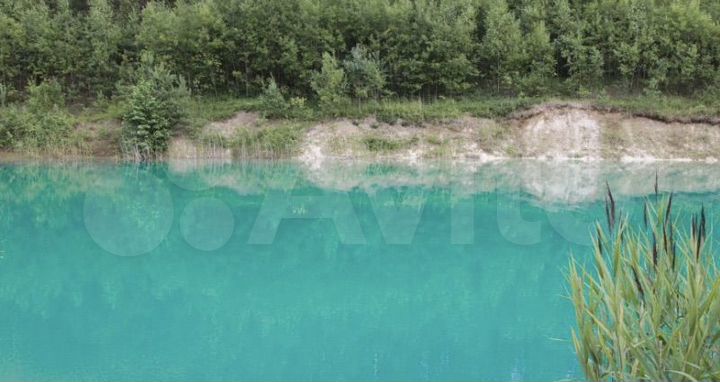 Участок 12 сот. (СНТ, ДНП)