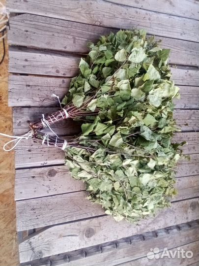 Веники берёзовые банные