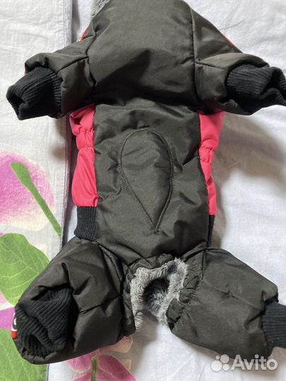 Продам одежда для собак