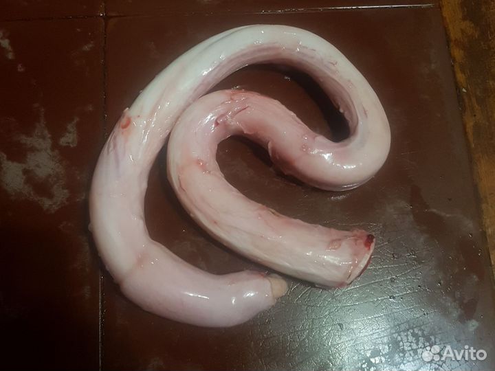 Бычий корень