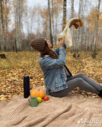 Гусь -Атрибут для фотосессии и интерьера